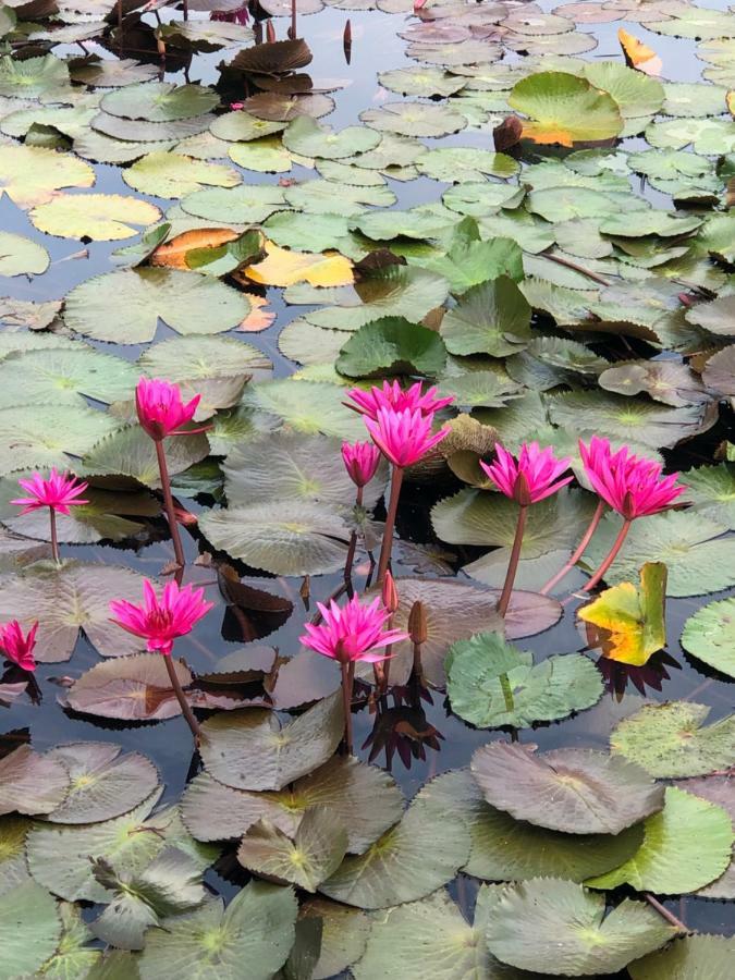 Milin Villa Resort Ban Yang  Экстерьер фото
